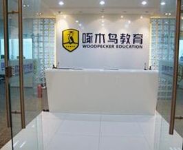 啄木鸟教育 无资质留学中介服务背后的自费留学隐忧