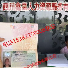 自费出国留学中介服务 选择、评估与避坑指南